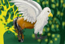 hippogriff