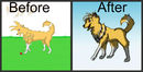 before-and-after