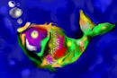 ein-fisch-ohne-namen