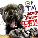 pet