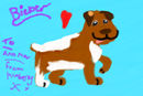 boxer-dog