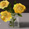roses by sketchpad