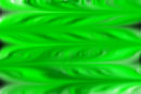 green-stripes