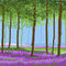 woods by CHR