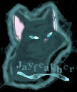 jayfeather