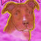 lola by tum6lew33d