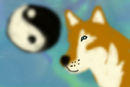 wolf-2