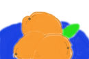 oranges