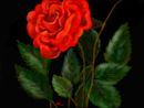 a-rose