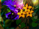 spring-morning