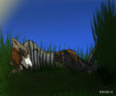 my-furry