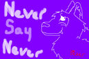 never-say-never