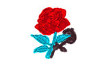 neon-rose