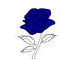 blue-rose by xConfidential