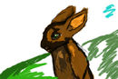 random-rabbit