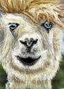 david-bowie-as-a-llama