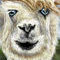 david-bowie-as-a-llama by nedeeb
