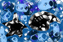 star-and-shell
