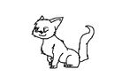 kitty-pretty