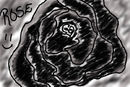 black-rose