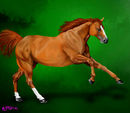 chestnut