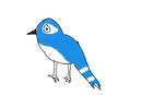 bird bird