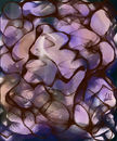 organico-2