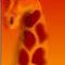 giraffe-soft by donatelo