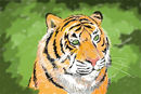 easy-tiger
