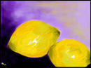 fresh-lemons fresh-lemons
