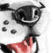 muzzle by X3Innocent