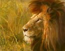 lion-sketch lion-sketch