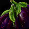 two-aubergines by ploiesteana