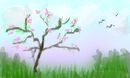 spring