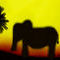 elephant by lyssa3