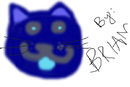 louie-in-blue-accordin