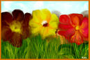 flowers-in-spring