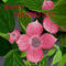 happy-mothers-day by kutedymples