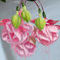 baby-pink-fuschias by kutedymples
