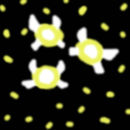 fireflies