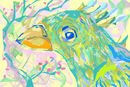 sketch-of-parakeet