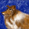 my-dog by katy