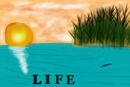life
