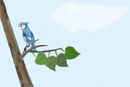 treetest