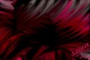 untitled-1