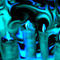 candles by dossa