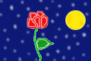 midnight-rose midnight-rose