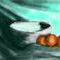 still-life by sketchpad