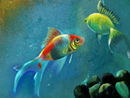 aquarium