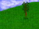 field